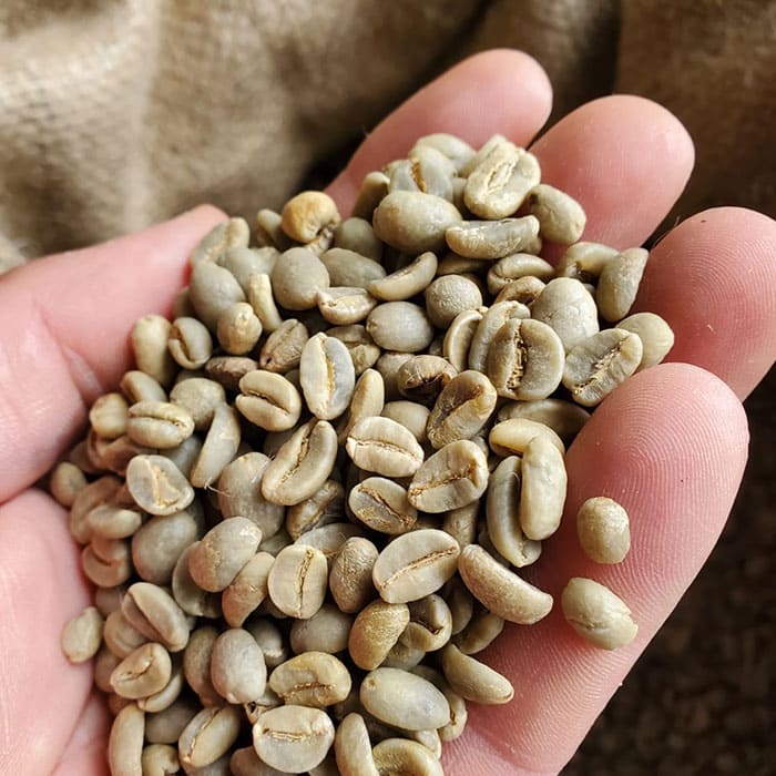 Kafemo Grains
